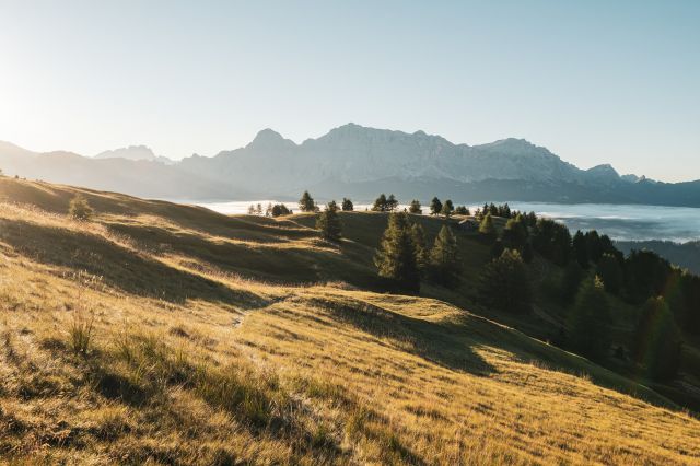 Estate a Longiarù - Lüch de Vanc Immagine: estate a Longiarù